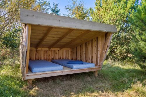 Shelter